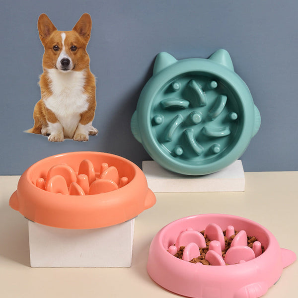 Slow Feeder Dog & Cat Bowl – Anti-Gulping Pet Food Bowl